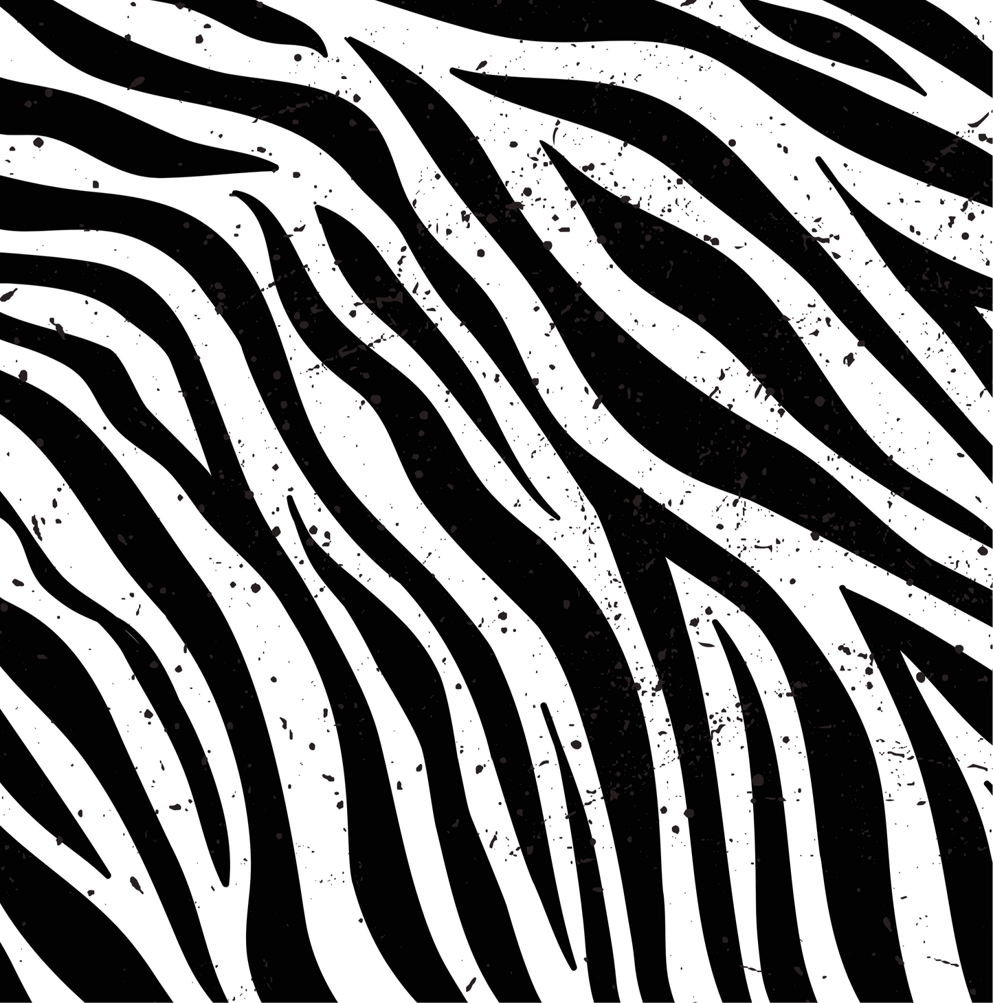 Zebra cord (scream queen)