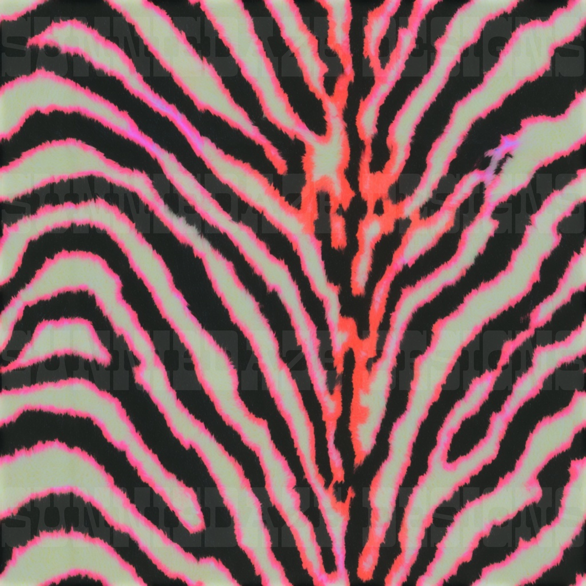 DESIGNER JUNKIES COLLAB ◡̈ NO CODES!!!!!!