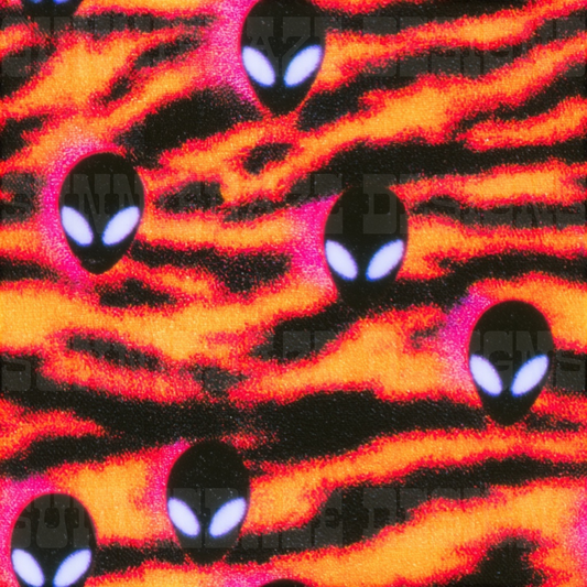 Zebra aliens