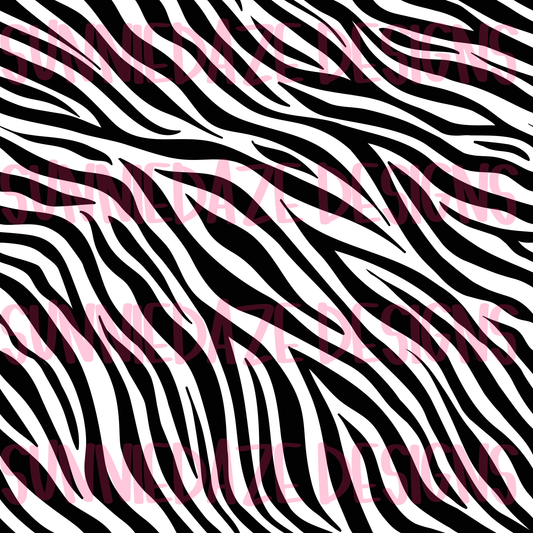 Regular zebra 🖤